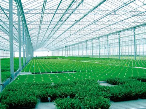 大棚溫度控制系統