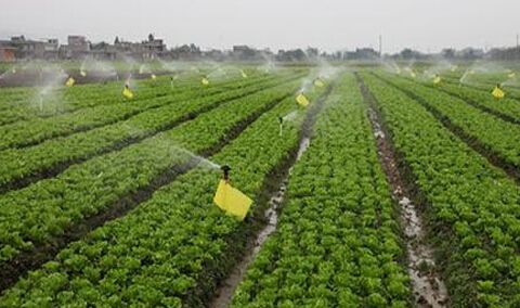 智慧農業水肥一體化