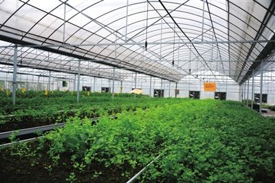 智慧農業大棚系統