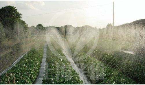 水肥一體化灌溉系統(tǒng)