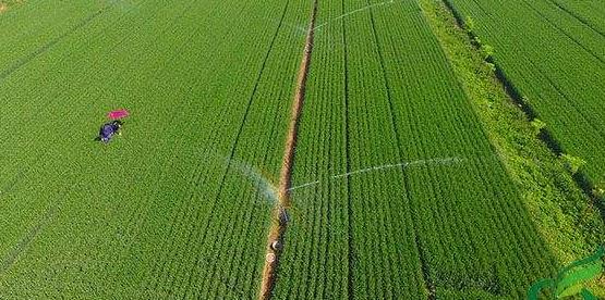 水肥一體化建設的公司