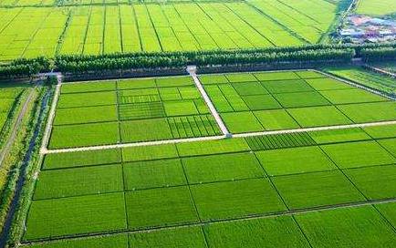 農田小氣候監測站