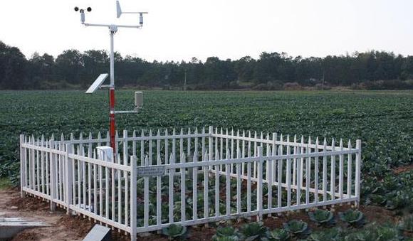 田間小氣候觀測儀