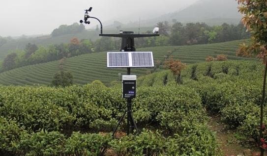 深圳農業氣象監測站