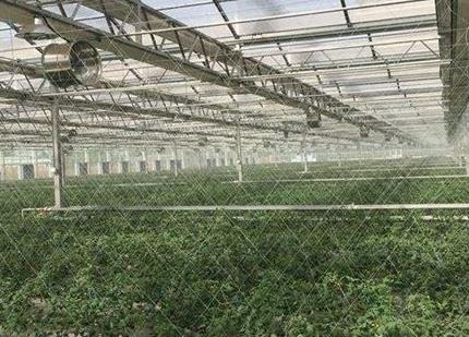 智能水肥一體化管理系統