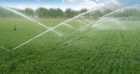 基質(zhì)栽培自動水肥一體機