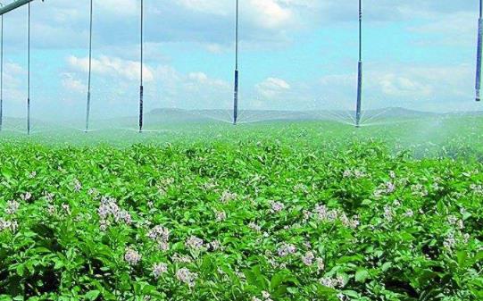 全自動施肥一體機