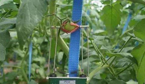 智能農業傳感器