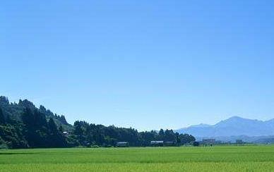 土壤溫濕度傳感器價(jià)格