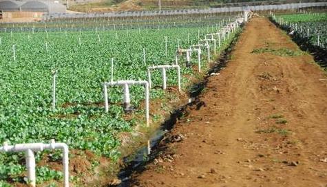 農(nóng)業(yè)專用傳感器