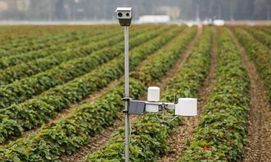 田間智能農業氣象站