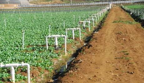 廣州傳感器廠家