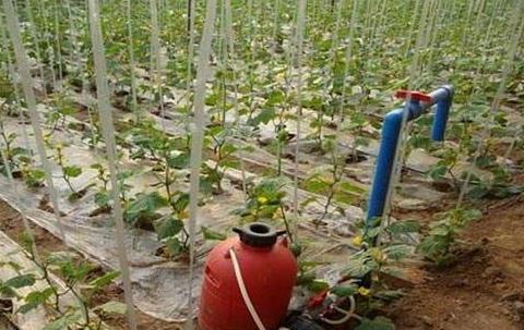 廣州水肥一體化設(shè)備