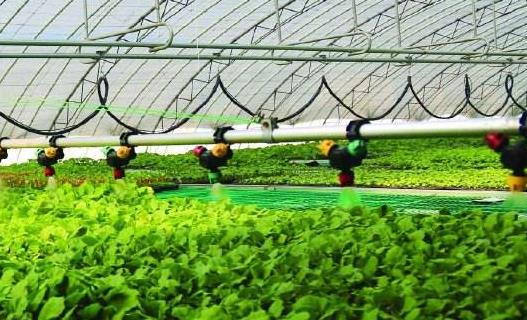 智能灌溉水肥一體系統(tǒng)