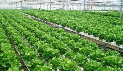  農業傳感器廠商