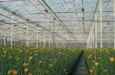 農業傳感器生產廠家