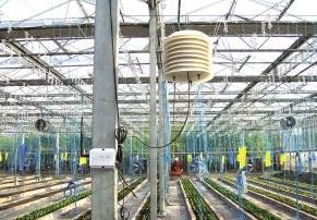 農業(yè)傳感器應用