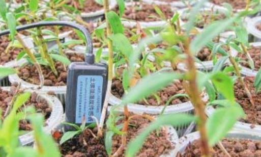 廣州溫濕度傳感器