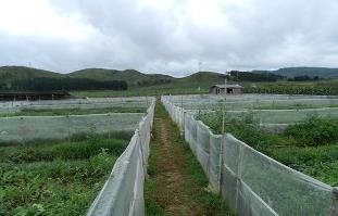 肇慶智能農業氣象站