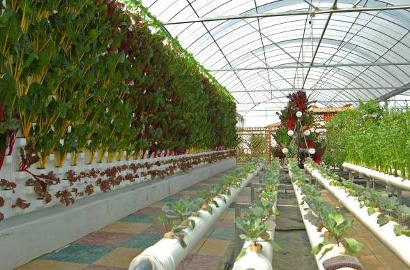 農業傳感器有哪些