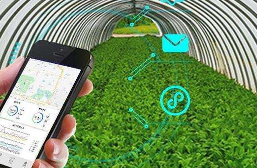 智慧農業傳感器有哪些