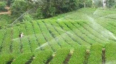 農業水肥一體化系統