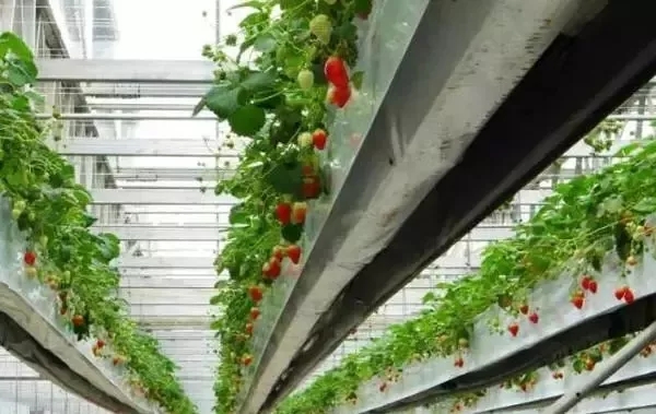 大棚環(huán)境監(jiān)測系統(tǒng)