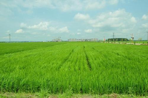 大田環(huán)境監(jiān)測系統(tǒng)