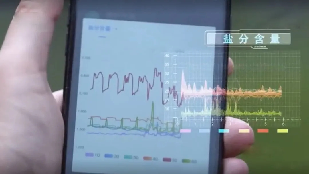 智能農(nóng)業(yè)監(jiān)測系統(tǒng)