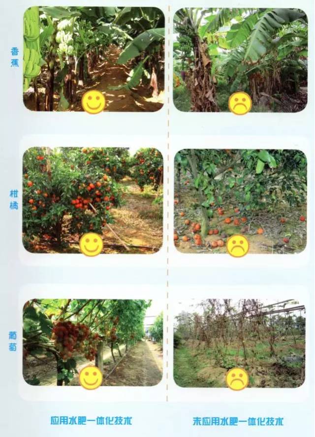 水肥一體機(jī)解決方案