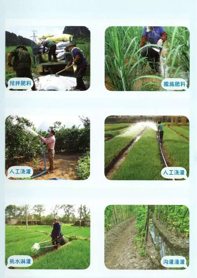 水肥一體機(jī)解決方案