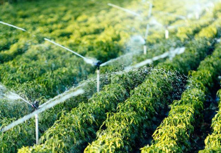 自動澆地噴灌設備