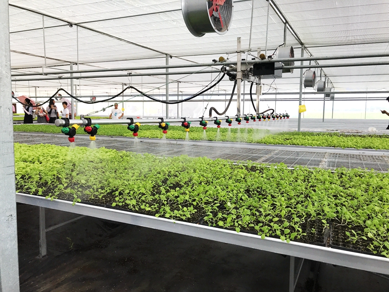 玻璃溫室大棚自動澆灌系統