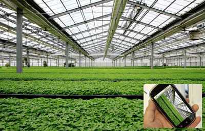 日光溫室物聯網控制系統