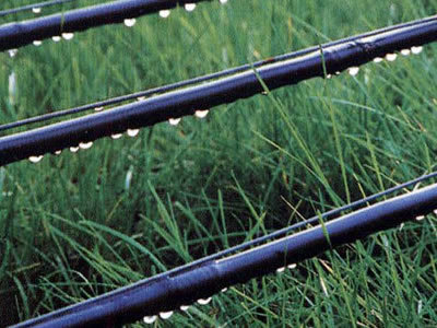 智能滴灌技術(shù)