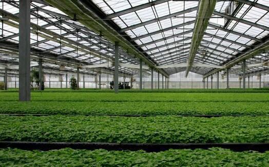 大棚智能控制系統(tǒng)廠家