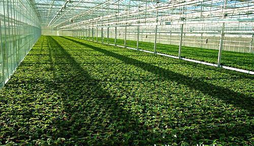 智慧大棚環境監測系統 智慧大棚環境監測系統