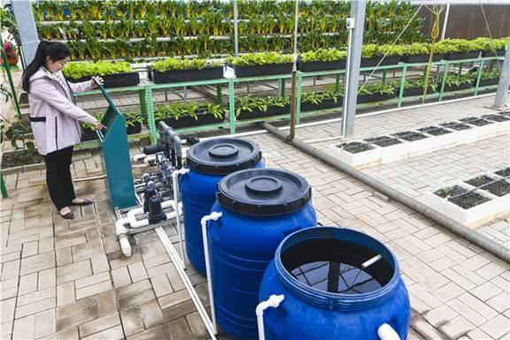 水肥一體化技術(shù)