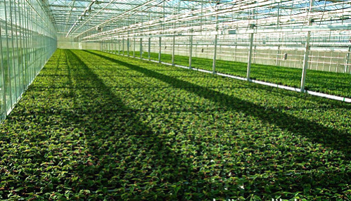 大棚監測系統廠家