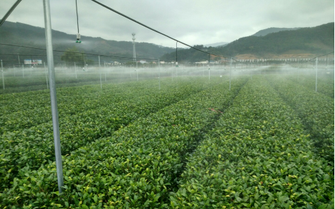 無線智能灌溉設(shè)備