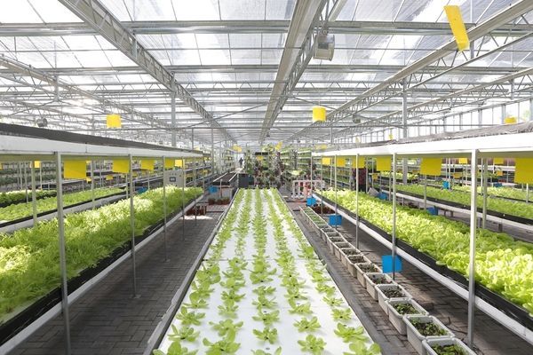 智能大棚物聯網