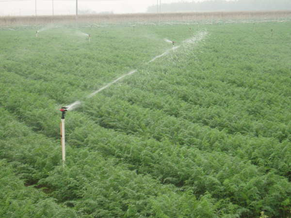 自動化灌溉系統(tǒng)