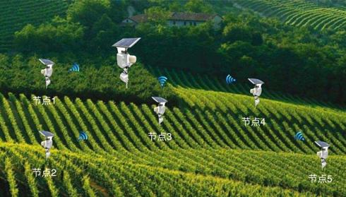 智慧茶園種植系統