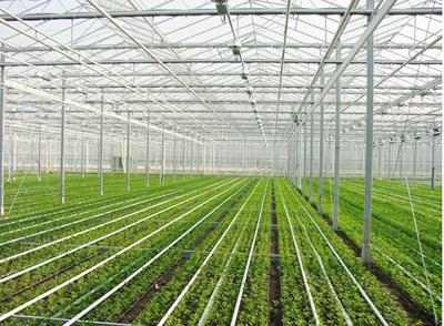 智能大棚種植