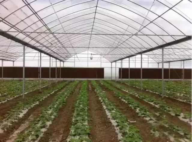 智慧大棚農(nóng)業(yè)控制系統(tǒng)