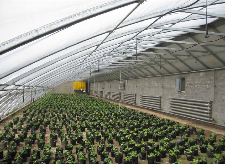 大棚卷簾遠程控制系統(tǒng)