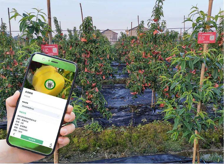 果園物聯網