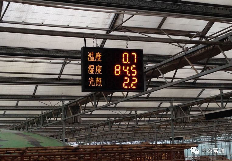 現代化農業大棚溫控系統