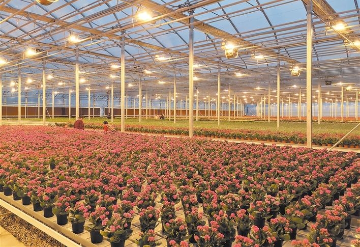 智慧農業大棚實施方案