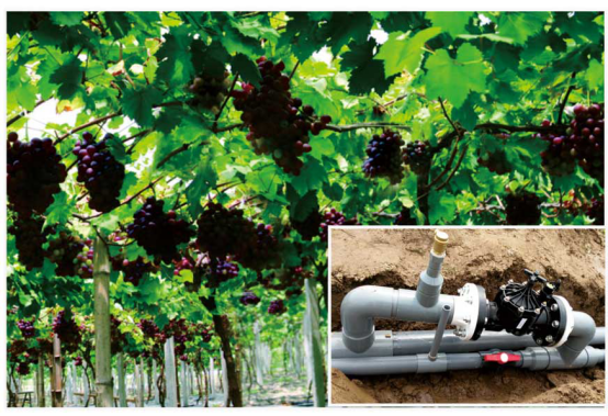 果園水肥一體化滴管設備